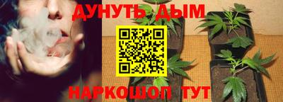 прущие крисы Можга