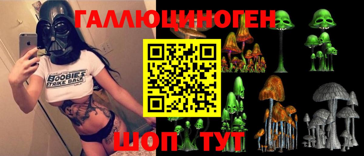Галлюциногенные грибы Psilocybe  Вход с VPN  Знаменск 